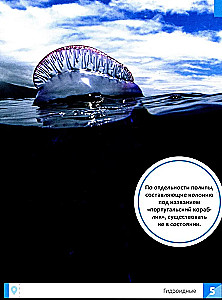 Niecodzienne zwierzęta