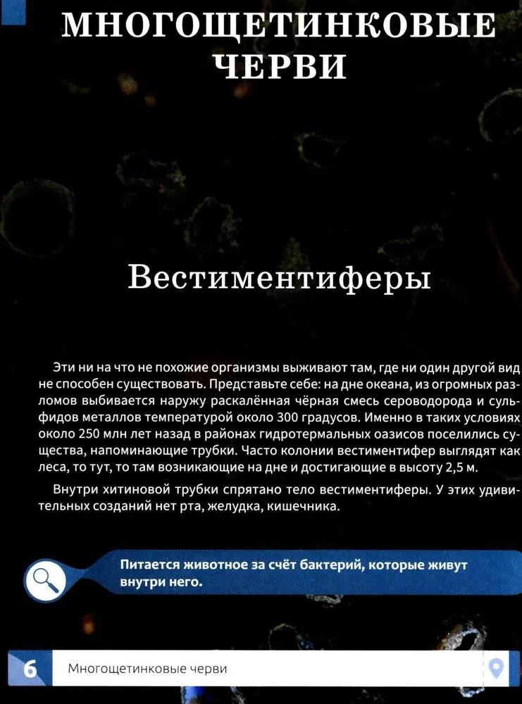 Niecodzienne zwierzęta