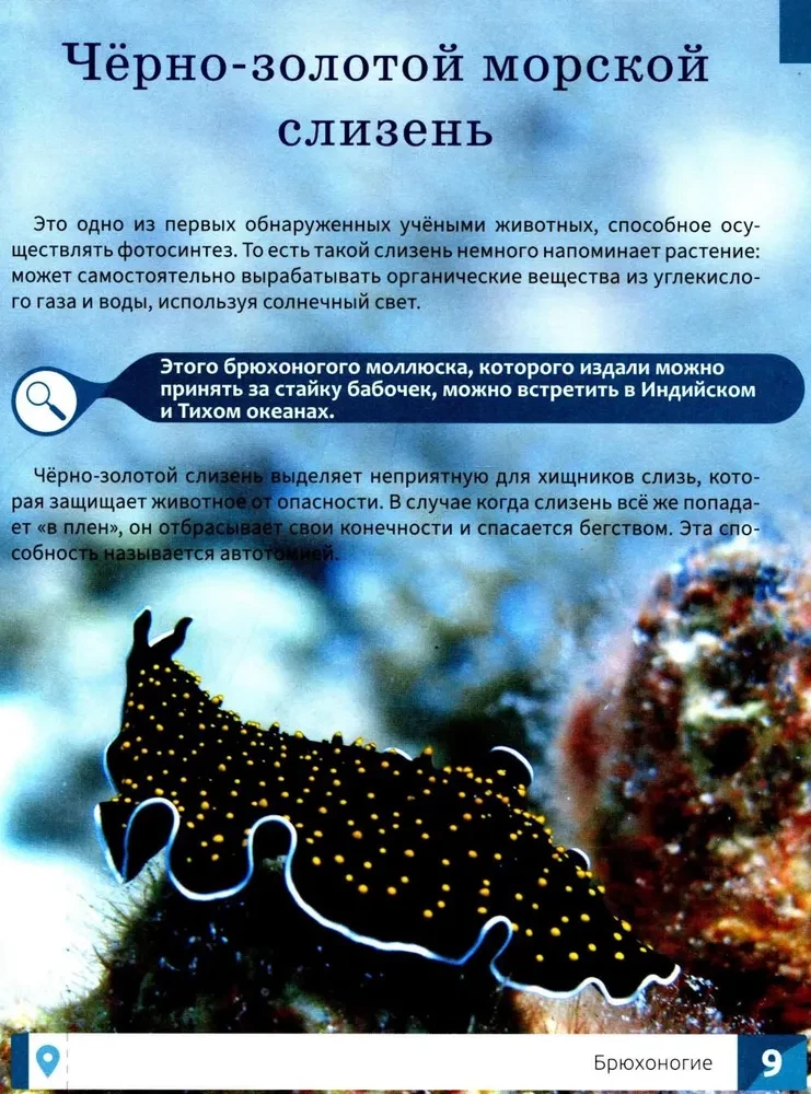 Niecodzienne zwierzęta