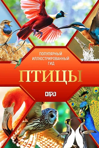 Putni. Ilustrēts ceļvedis