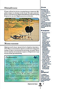 Vögel. Illustrierter Leitfaden