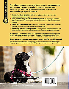 Deutsche Hundetraining Schule. Moderne Erziehungsmethoden