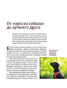 Deutsche Hundetraining Schule. Moderne Erziehungsmethoden