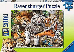 Puzzle 200 - Siesta