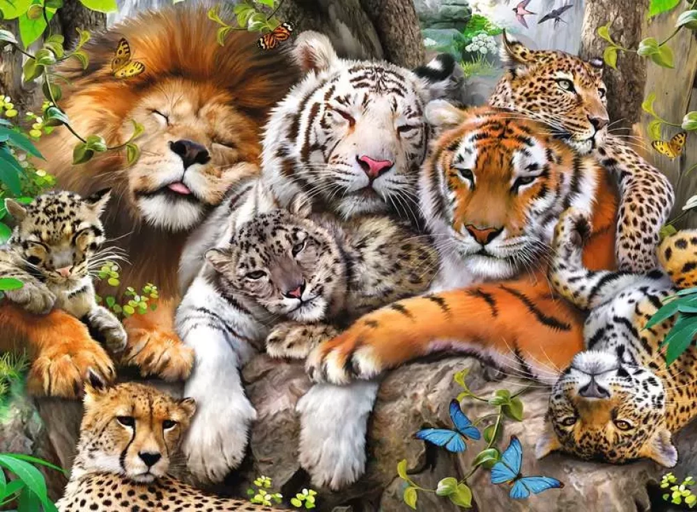 Puzzle 200 - Siesta