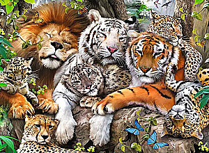 Puzzle 200 - Siesta