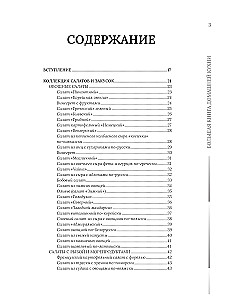Домашняя кухня. В будни и праздники. Большая книга рецептов