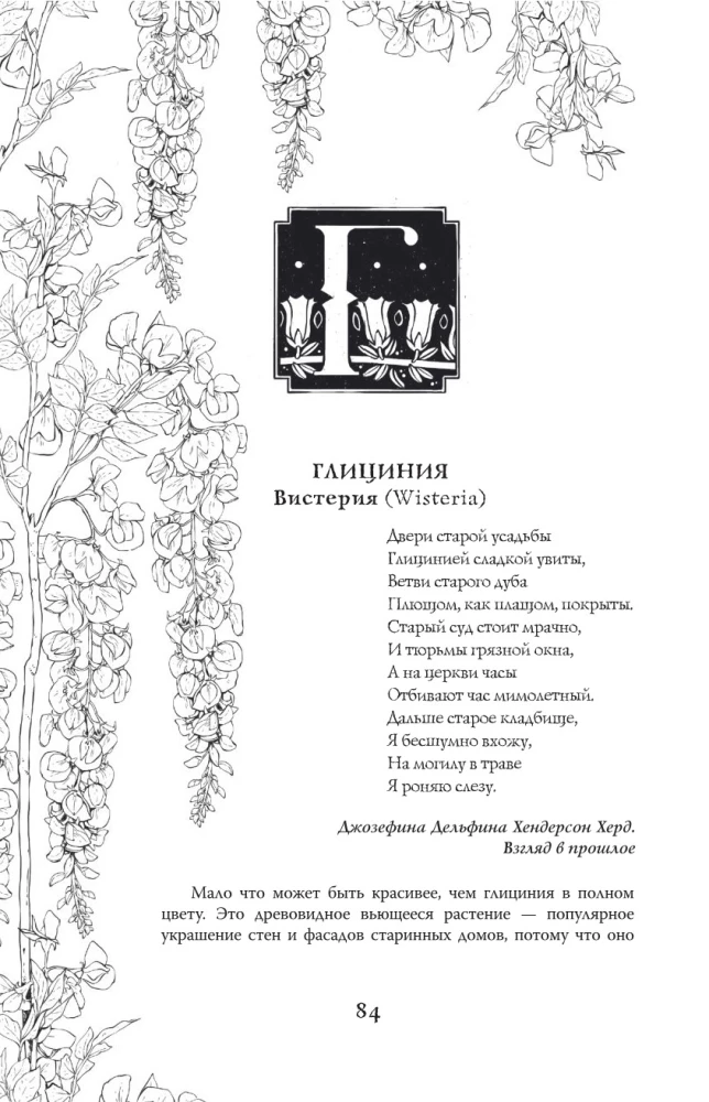 Indīgas un lāsti. Augu ēnu dzīve