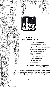 Indīgas un lāsti. Augu ēnu dzīve