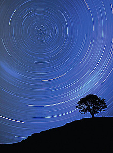 The Universe. The Best Illustrated Guide