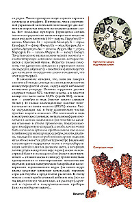 Chemical Elements. A Popular Illustrated Guide