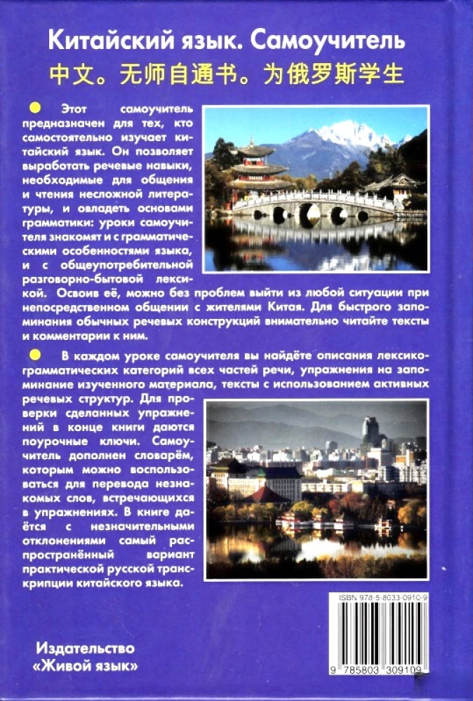 Китайский язык. Самоучитель
