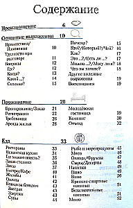 Spāņu sarunvalodas grāmata un vārdnīca