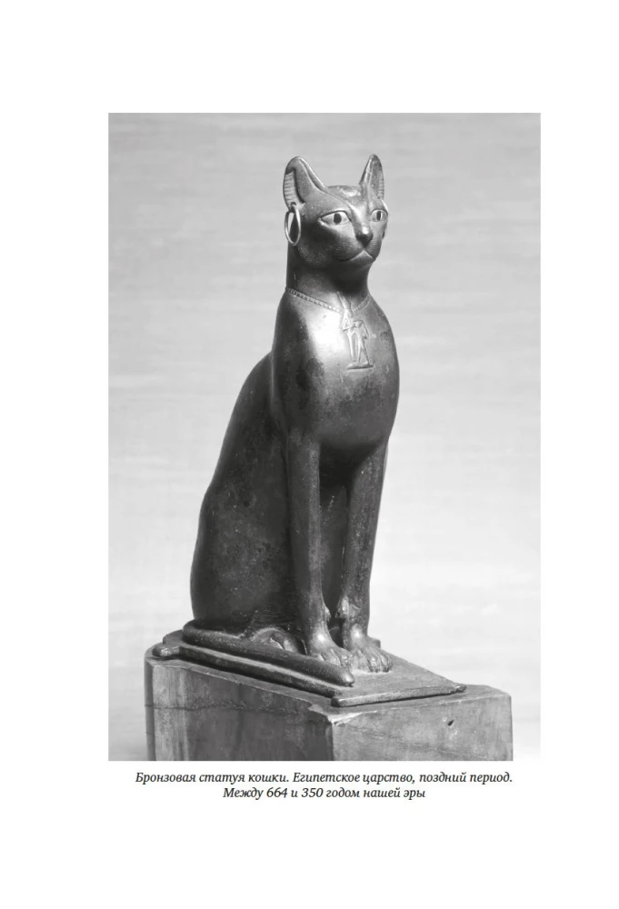 Cats Rule the World