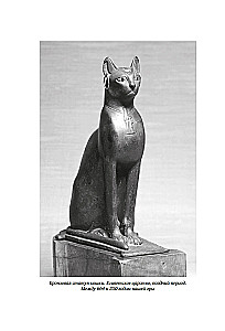 Cats Rule the World