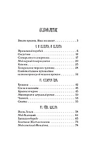 Pēdējais pionieris