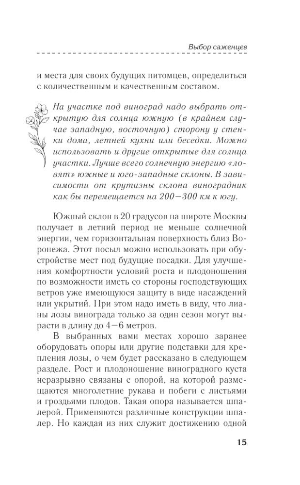 Правила плодоносного ягодника. Эффективный уход за кустарниками