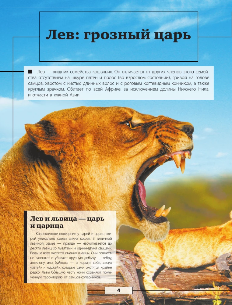 Animals