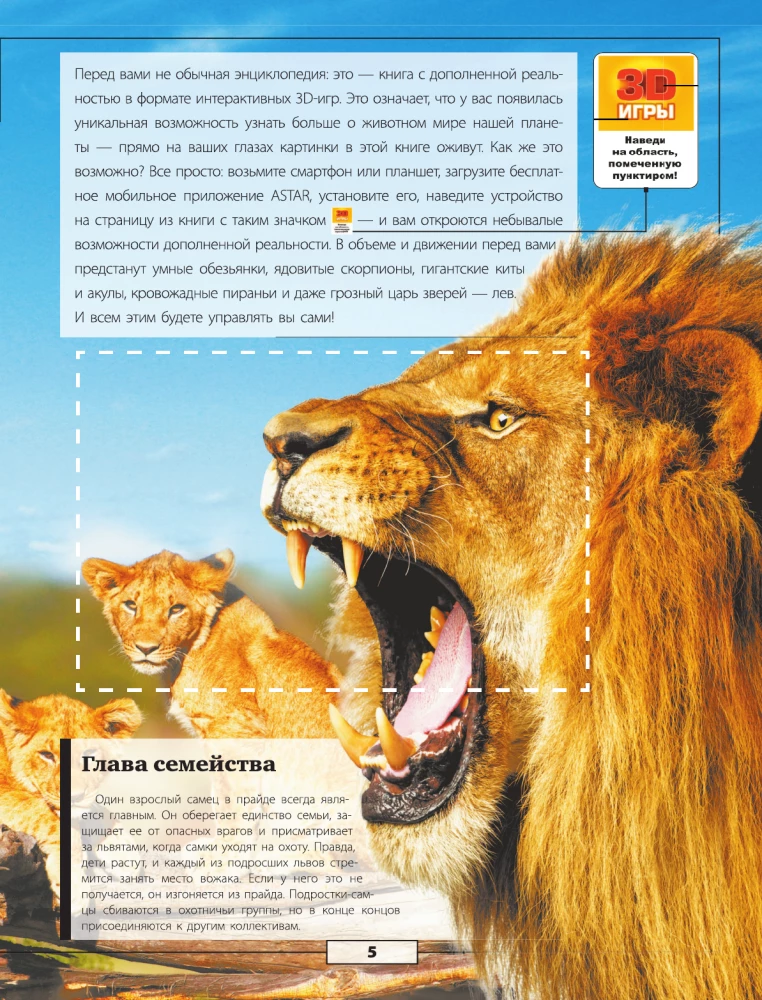 Animals