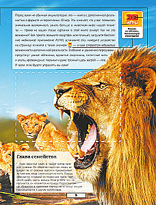 Animals
