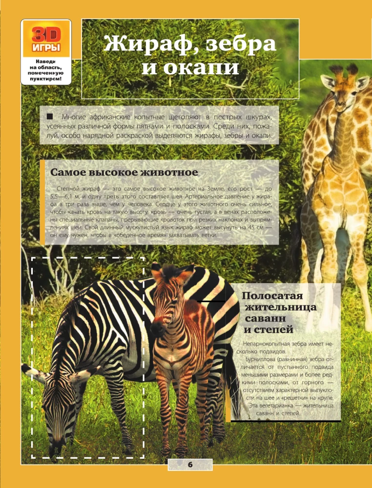 Animals