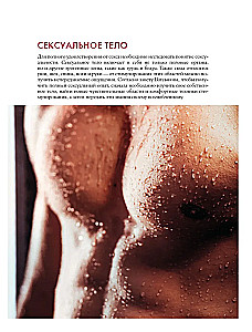 Kamasutra. Ein Führer in die Welt der Leidenschaft und des Genusses