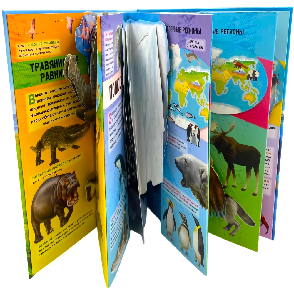 Animals