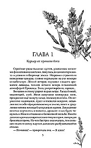 Lavandų ir melagysčių laužai