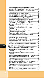 Sodo ir daržo kenkėjai. Kišeninis atlasas-identifikatorius