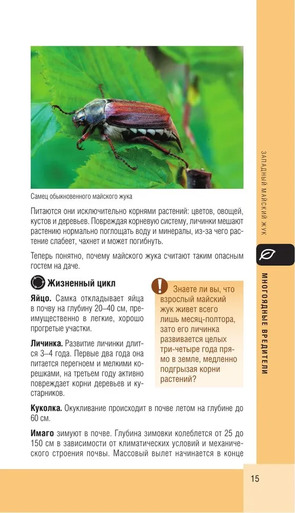 Sodo ir daržo kenkėjai. Kišeninis atlasas-identifikatorius
