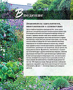 The Bible of Garden Flowers. Annuals, Perennials, and Bulbs. Tips for Planting, Growing, and Care