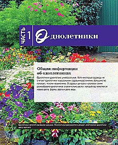 The Bible of Garden Flowers. Annuals, Perennials, and Bulbs. Tips for Planting, Growing, and Care