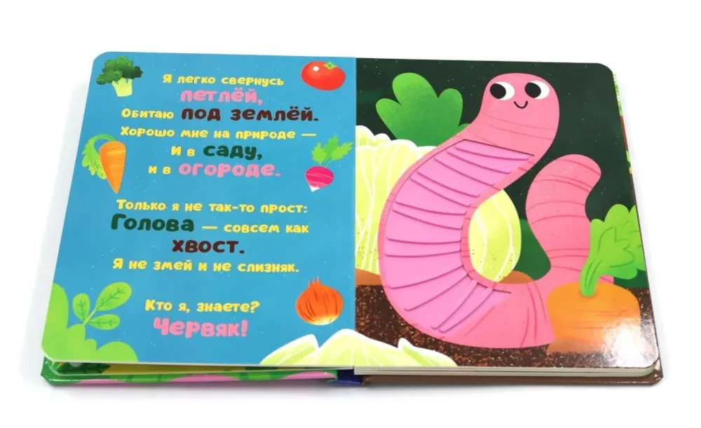 Taktitundlikud raamatud. Kes ma olen? Aias