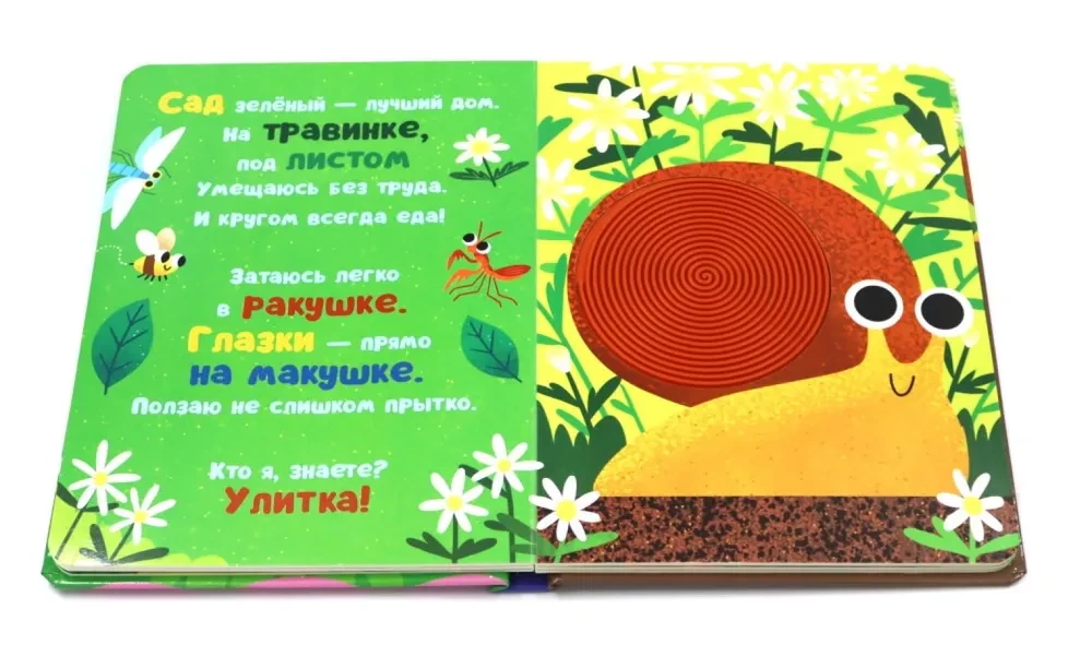 Taktitundlikud raamatud. Kes ma olen? Aias