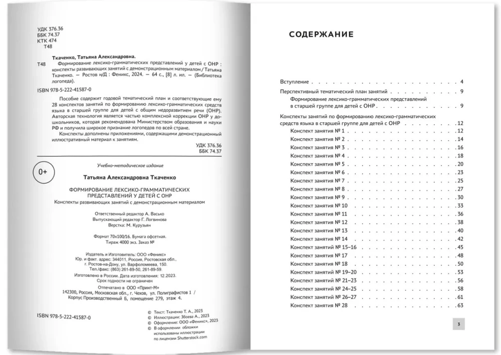 Formation of Lexical-Grammatical Representations in Children with Speech Underdevelopment. Outlines of Developmental Activities