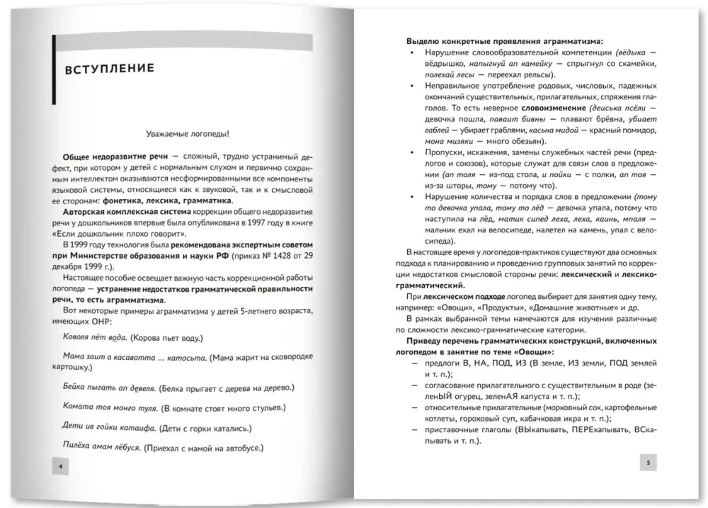 Formation of Lexical-Grammatical Representations in Children with Speech Underdevelopment. Outlines of Developmental Activities