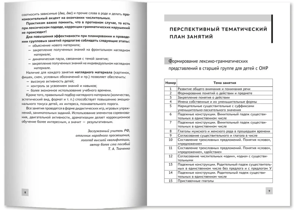 Formation of Lexical-Grammatical Representations in Children with Speech Underdevelopment. Outlines of Developmental Activities
