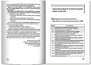 Formation of Lexical-Grammatical Representations in Children with Speech Underdevelopment. Outlines of Developmental Activities