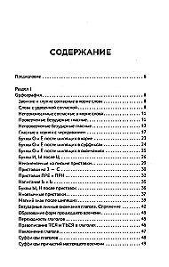 Тренажер по русскому языку. Орфография. Пунктуация. Орфоэпия