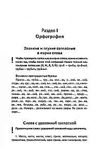 Тренажер по русскому языку. Орфография. Пунктуация. Орфоэпия