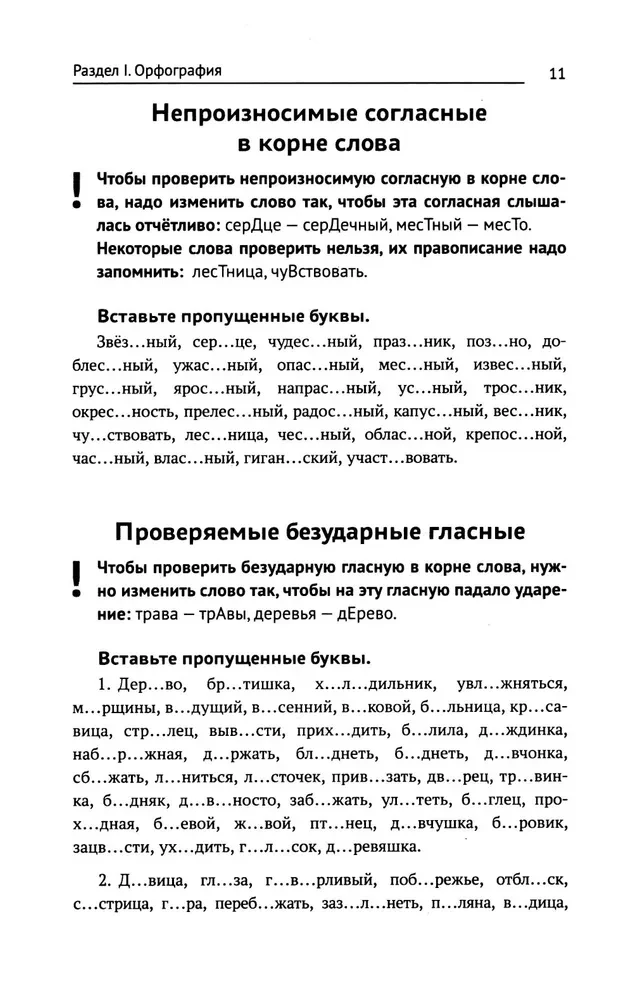 Тренажер по русскому языку. Орфография. Пунктуация. Орфоэпия