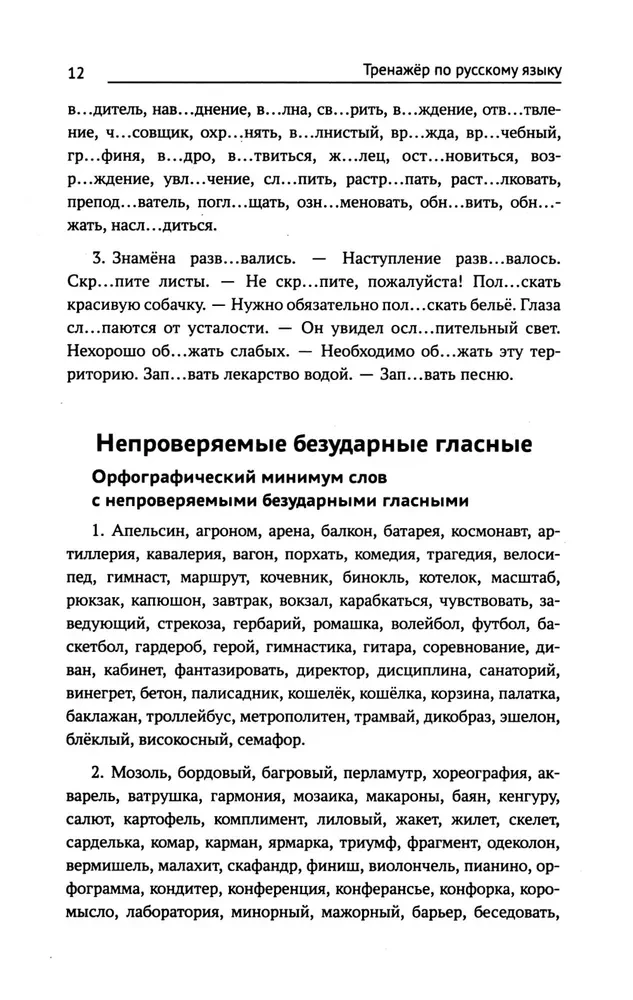 Тренажер по русскому языку. Орфография. Пунктуация. Орфоэпия