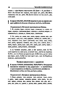 Тренажер по русскому языку. Орфография. Пунктуация. Орфоэпия