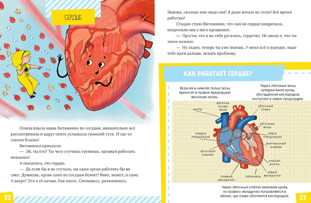 Gift for a Curious Kid. The Human Body