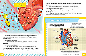 Gift for a Curious Kid. The Human Body