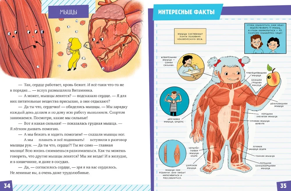 Gift for a Curious Kid. The Human Body