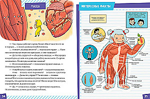 Gift for a Curious Kid. The Human Body