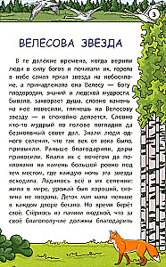 Wise Slavic Tales
