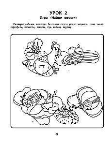 Tangled Pictures. Correction of Optical Dysgraphia: A Working Neuro-Notebook for Preschoolers