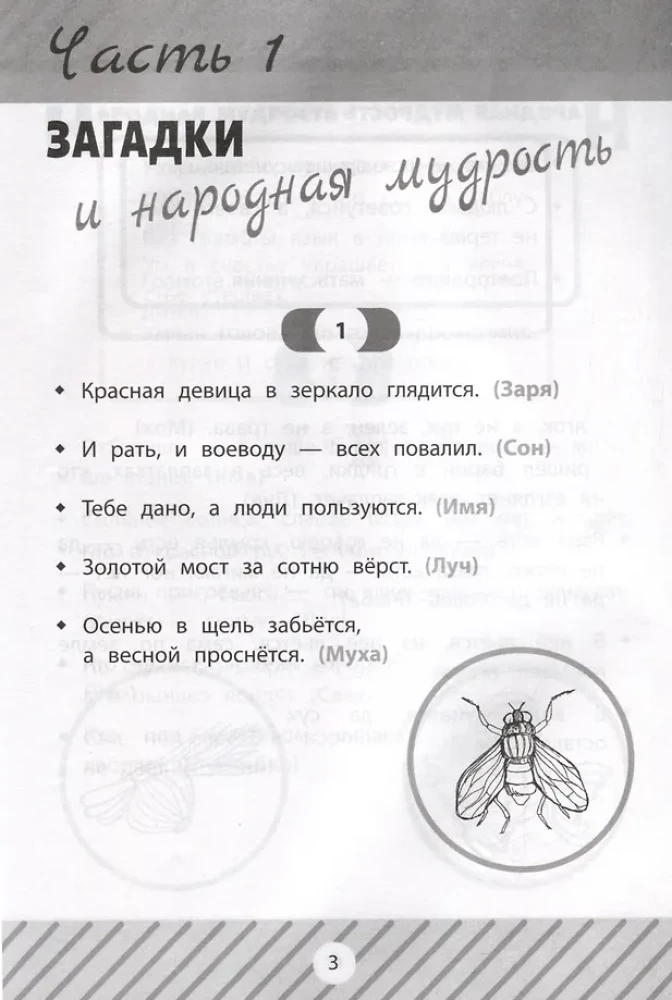 Riddles, Tongue Twisters, and Counting Rhymes in Primary School